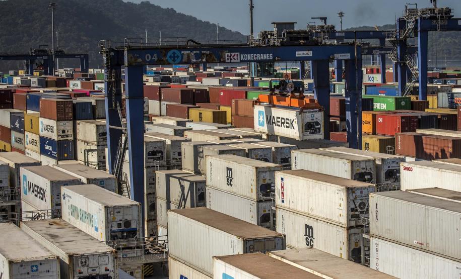 Mais de 38% de todo o frango congelado exportado pelo Brasil, em 2019, saiu do país pelo Porto de Paranaguá. De janeiro a maio, as vendas de carne de frango brasileira somaram 1,6 milhão de toneladas. Deste total, 637,6 mil toneladas foram movimentadas no porto paranaense. Foto: Claudio Neves/Portos do Paraná