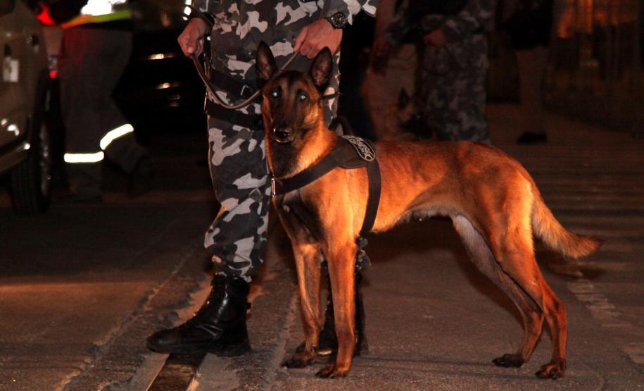 A Administração dos Portos do Paraná, a Polícia Militar e Polícia Federal se integraram para uma megaoperação contra o tráfico de drogas no Porto de Paranaguá. Na noite desta terça-feira (9), um grupo de 20 homens, formado por integrantes da Guarda Portuária, militares e agentes federais, junto de cães farejadores, vistoriaram cerca de 109 veículos que saíram do terminal com destino à África. Foto: Claudio Neves/Portos do Paraná