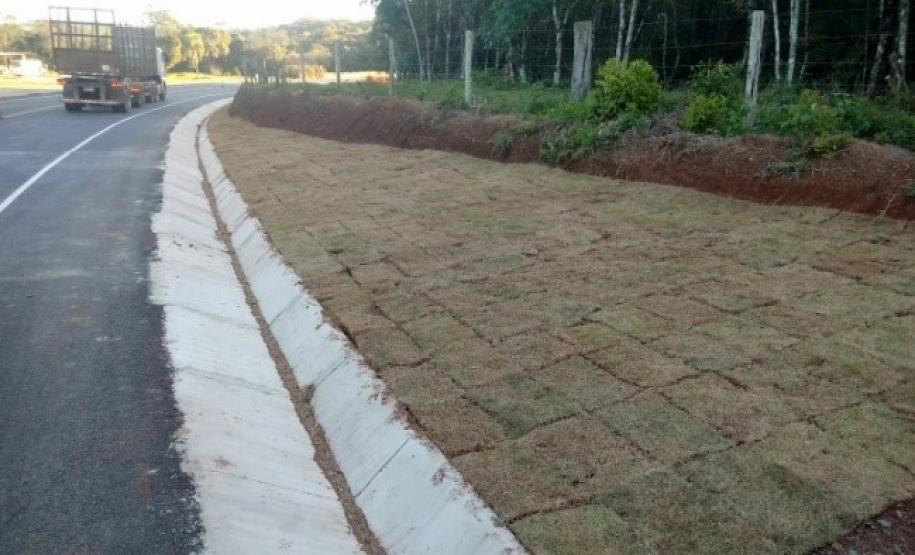 PR-441. Foto: Divulgação/DER